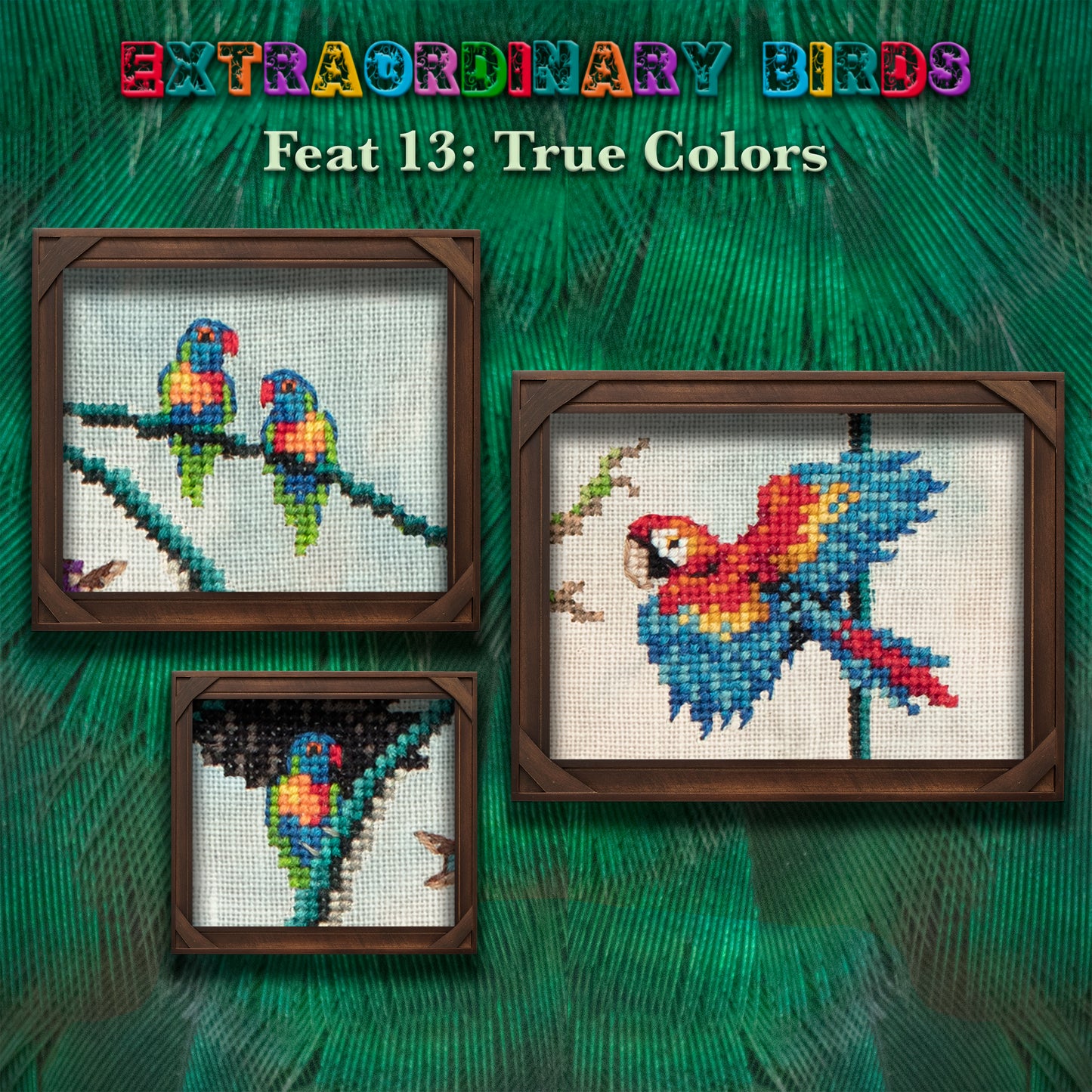 Extraordinary Birds Stitch Along