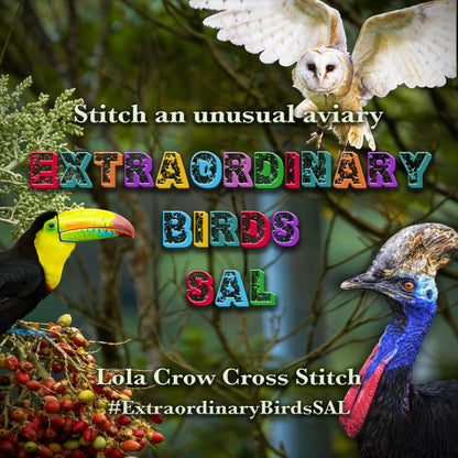 Extraordinary Birds Stitch Along