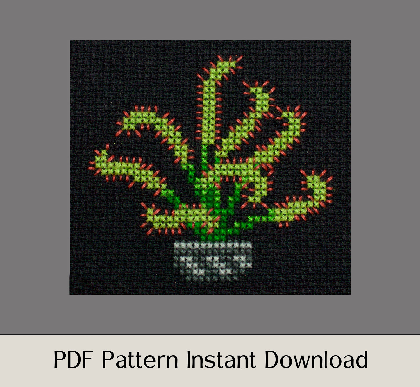 Desert Cross Stitch Pattern Cactus Cross Stitch Beginner Cross Stitch  Modern Cross Stitch PDF Pattern Instant Download (Instant Download) 